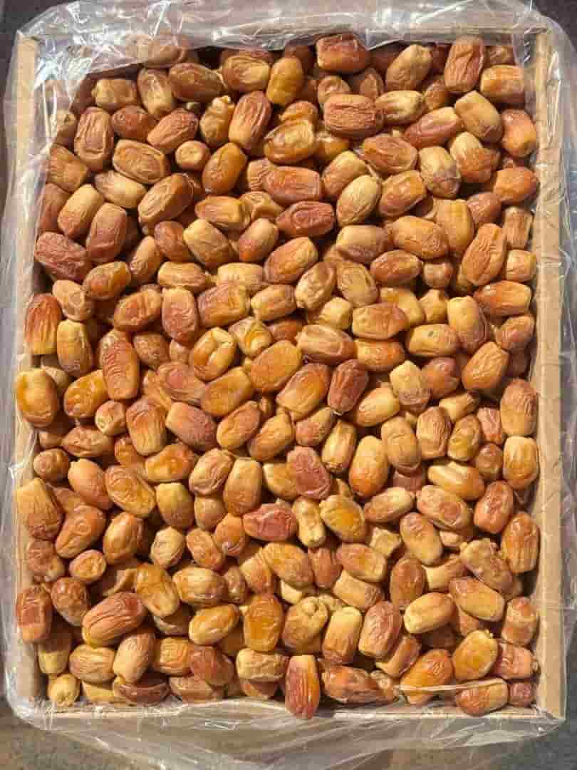 تصویر 4 از فروش خرما زاهدی تازه + قیمت خرید به صرفه